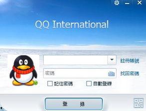 91国外版,探索全球应用市场的无限可能