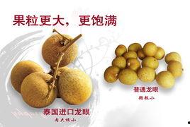 国产特级黄,探寻国产特级黄酒的魅力与传承