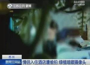 国产开房视频,隐私泄露背后的社会现象